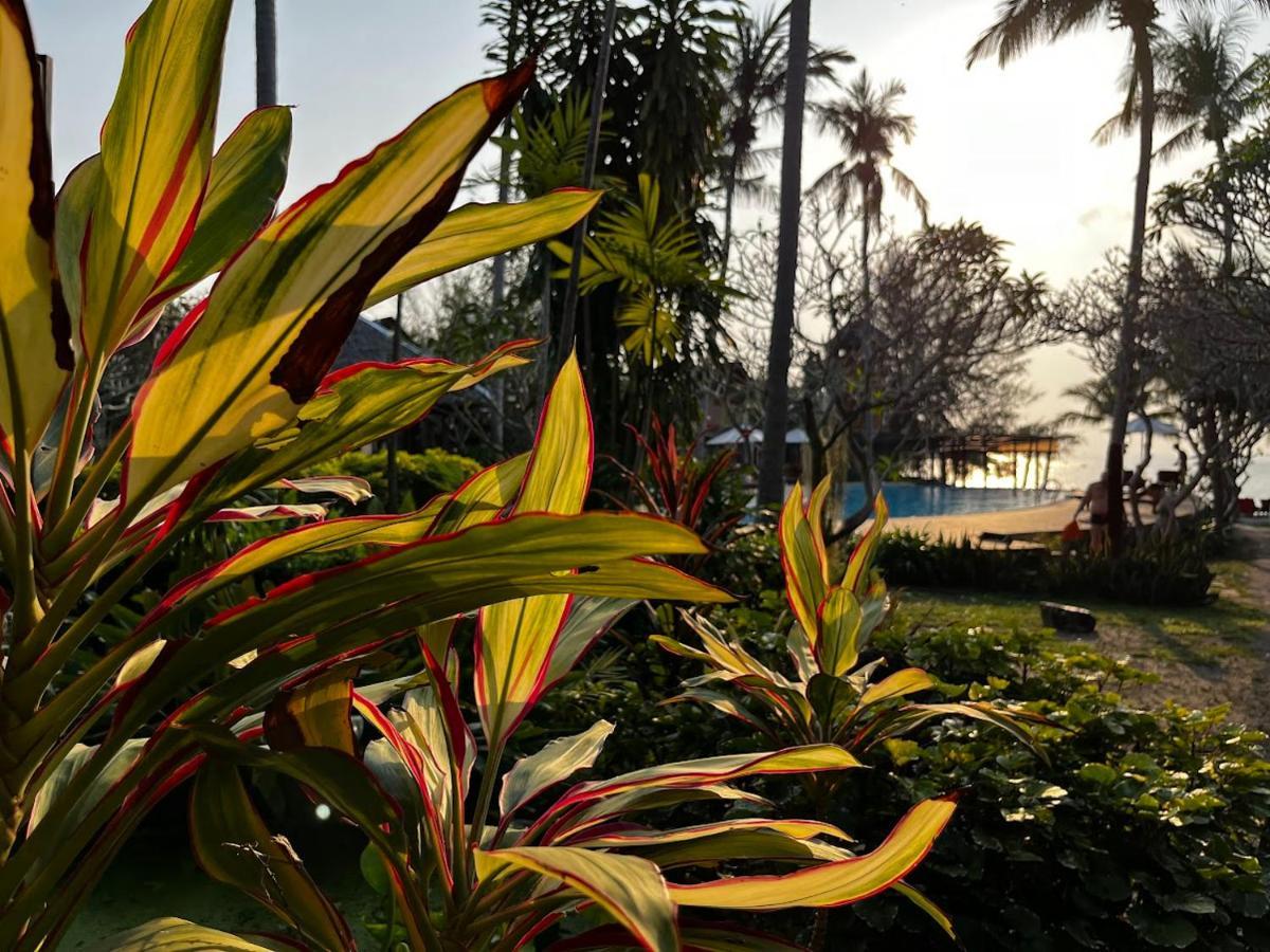Green Papaya Beach Resort, Koh Phangan Salad Beach Exterior photo